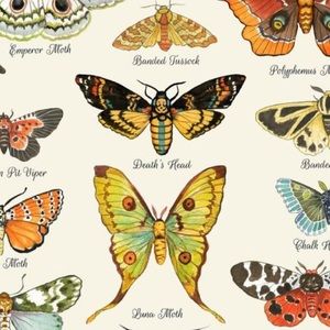 Meet your Posher, Emmalyn